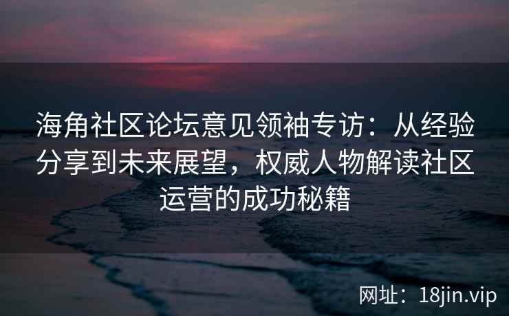 海角社区论坛意见领袖专访：从经验分享到未来展望，权威人物解读社区运营的成功秘籍