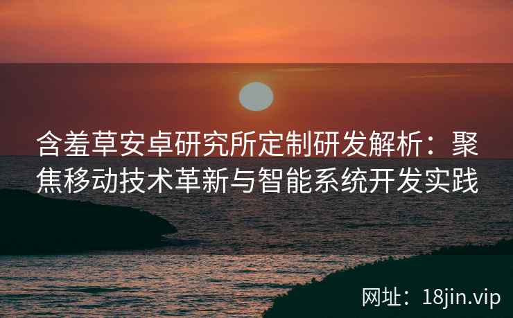 含羞草安卓研究所定制研发解析：聚焦移动技术革新与智能系统开发实践