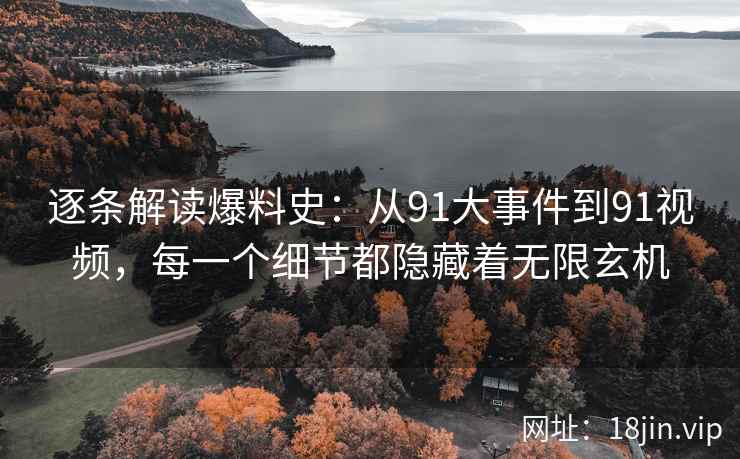 逐条解读爆料史：从91大事件到91视频，每一个细节都隐藏着无限玄机