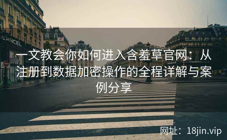 一文教会你如何进入含羞草官网：从注册到数据加密操作的全程详解与案例分享
